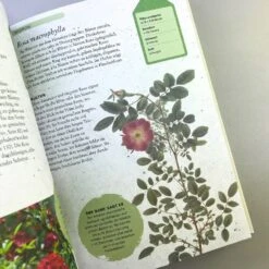 ROSEN | PFLANZEN, PFLEGEN, VERMEHREN (Tony Hall) -Günstiges Pflanzen Land Geschäft 35139 ROSEN 20 20PFLANZEN 20PFLEGEN 20VERMEHREN Tony 20Hall 7