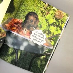 Mit Witz, Charme Und Methode (Katrin Iskam, Beate Balz) -Günstiges Pflanzen Land Geschäft 35807 Mit 20Witz 20Charme 20und 20Methode Katrin 20Iskam 20Beate 20Balz 4