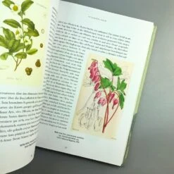 Pflanzenjäger (Wie Exotische Pflanzen In Unsere Gärten) -Günstiges Pflanzen Land Geschäft 35899 Pflanzenjaeger Wie 20exotische 20Pflanzen 20in 20unsere 20Gaerten 20 5