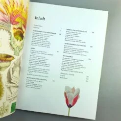 Pflanzenjäger (Wie Exotische Pflanzen In Unsere Gärten) -Günstiges Pflanzen Land Geschäft 35899 Pflanzenjaeger Wie 20exotische 20Pflanzen 20in 20unsere 20Gaerten 4