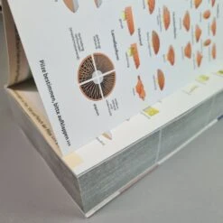 Günstiges Pflanzen Land Geschäft -Günstiges Pflanzen Land Geschäft 35907 Der 20grosse 20Kosmos 20Pilzfuehrer Hans 20E 20Laux 2