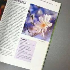 Die 150 Besten Pflanzen (für Jede Gartenecken) -Günstiges Pflanzen Land Geschäft 35935 Die 20150 20Besten 20Pflanzen 20fuer 20jede 20Gartenecken 4