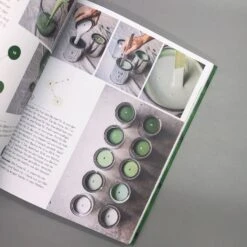 Welcome To The Jungle () 13 Welcome To The Jungle () -Günstiges Pflanzen Land Geschäft 35937 Welcome 20to 20the 20jungle 6