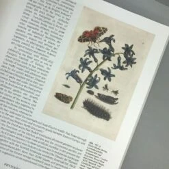 FLOWERS! (Blumen In Der Kunst Des 20. Jahrhunderts) -Günstiges Pflanzen Land Geschäft 36039 FLOWERS Blumen 20in 20der 20Kunst 20des 2020 20Jahrhunderts 5