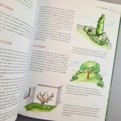 Kleine Gärten Gekonnt Gestalten (Katja Richter) -Günstiges Pflanzen Land Geschäft 36118 Kleine 20Gaerten 20gekonnt 20gestalten Katja 20Richter 4 73f7d5f4 bd01 4ccb a095 888014535d35