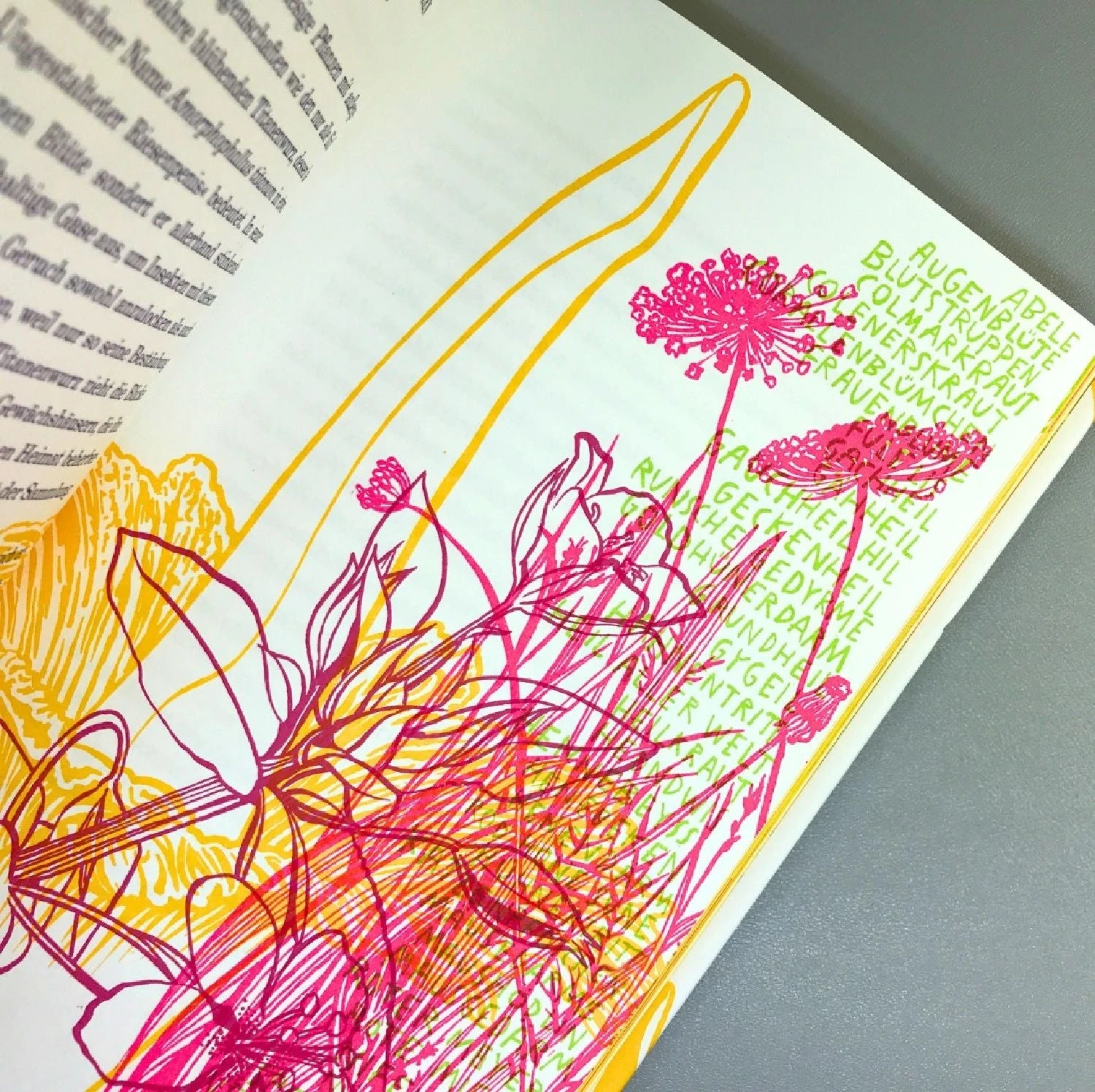 Illustriertes Kompendium (psychoaktiven Pflanzen) 6 Illustriertes Kompendium (psychoaktiven Pflanzen) – Bild 4