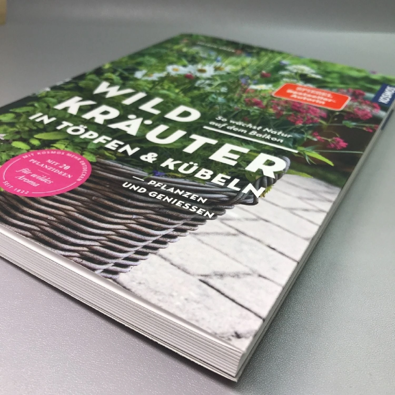 Wildkräuter In Töpfen Und Kübeln (Ortrud Grieb) 4 Wildkräuter In Töpfen Und Kübeln (Ortrud Grieb) – Bild 2