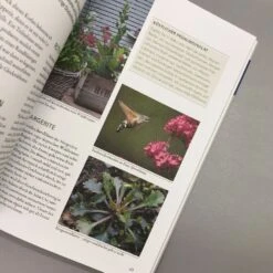 Wildkräuter In Töpfen Und Kübeln (Ortrud Grieb) 10 Wildkräuter In Töpfen Und Kübeln (Ortrud Grieb) -Günstiges Pflanzen Land Geschäft 37112 Wildkraeuter 20in 20Toepfen 20und 20Kuebeln Ortrud 20Grieb 5