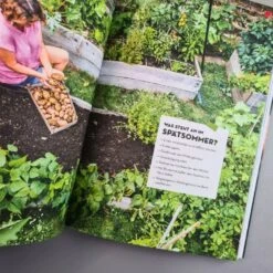 Hochbeet - Was Mache Ich Wann? (Anja Klein) 11 Hochbeet - Was Mache Ich Wann? (Anja Klein) -Günstiges Pflanzen Land Geschäft 37113 Hochbeet 20 20Was 20mache 20ich 20wann Anja 20Klein 4 0f636701 b1a0 4c8b 9d70 34831f0d4a48