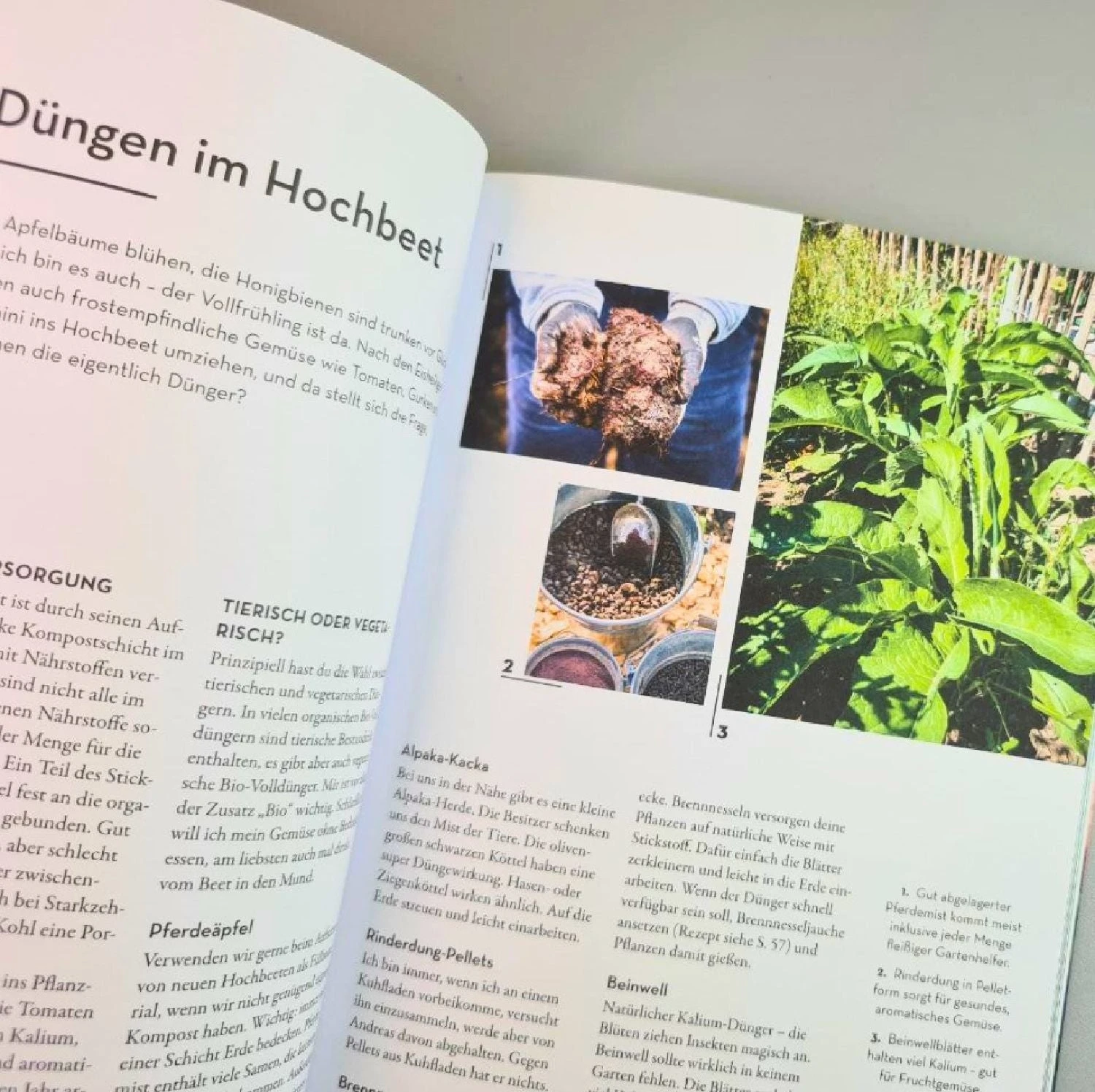 Hochbeet - Was Mache Ich Wann? (Anja Klein) 7 Hochbeet - Was Mache Ich Wann? (Anja Klein) – Bild 5