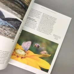 Wenn Nicht Jetzt, Wann Dann? (Manuela Gassner) -Günstiges Pflanzen Land Geschäft 37114 Wenn 20nicht 20jetzt 20Wann 20dann Manuela 20Gassner 5