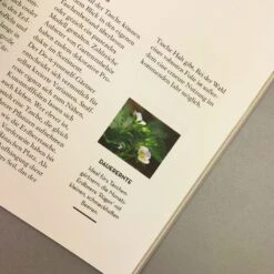 Vertikal Gärtnern (Martin Staffler) -Günstiges Pflanzen Land Geschäft 37120 Vertikal 20Gaertnern Martin 20Staffler 6