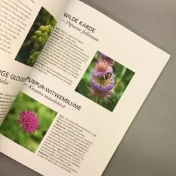 Der Antiautoritäre Garten (Simone Kern) -Günstiges Pflanzen Land Geschäft 37125 Der 20antiautoritaere 20Garten Simone 20Kern 5