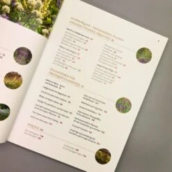 Echte Hitzeprofis (Katrin Lugerbauer) -Günstiges Pflanzen Land Geschäft 37807 Echte 20Hitzeprofis Katrin 20Lugerbauer 4