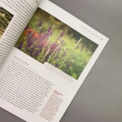 Echte Hitzeprofis (Katrin Lugerbauer) -Günstiges Pflanzen Land Geschäft 37807 Echte 20Hitzeprofis Katrin 20Lugerbauer 5