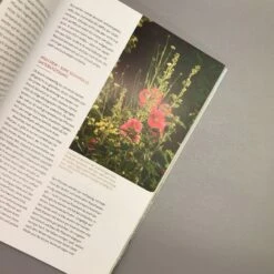 Echte Hitzeprofis (Katrin Lugerbauer) -Günstiges Pflanzen Land Geschäft 37807 Echte 20Hitzeprofis Katrin 20Lugerbauer 6