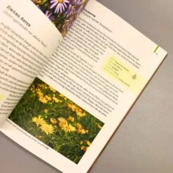 Gartenschätze (Falk-Ingo Klee) -Günstiges Pflanzen Land Geschäft 37860 Gartenschaetze Falk Ingo 20Klee 4 d37276d0 3ee5 472b bc70 f38a39726be6