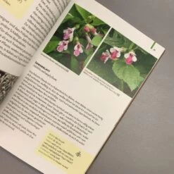 Gartenschätze (Falk-Ingo Klee) -Günstiges Pflanzen Land Geschäft 37860 Gartenschaetze Falk Ingo 20Klee 5 3569ac3e 0bf8 4290 be0e 984267987b47