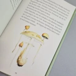 Pilze (Wissenswertes Und Kurioses) -Günstiges Pflanzen Land Geschäft 37895 Pilze Wissenswertes 20und 20Kurioses 6