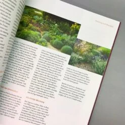 Blütenpracht Ohne Gießen (Bernd Hertle) 10 Blütenpracht Ohne Gießen (Bernd Hertle) -Günstiges Pflanzen Land Geschäft 37917 Bluetenpracht 20ohne 20giessen Bernd 20Hertle 5