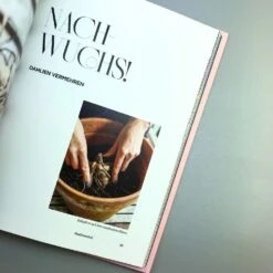 Dahlien Zauber (Sarah Stiller) 11 Dahlien Zauber (Sarah Stiller) -Günstiges Pflanzen Land Geschäft 38278 Dahlien 20Zauber Sarah 20Stiller 5