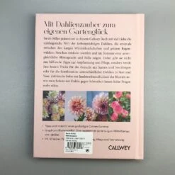 Dahlien Zauber (Sarah Stiller) 12 Dahlien Zauber (Sarah Stiller) -Günstiges Pflanzen Land Geschäft 38278 Dahlien 20Zauber Sarah 20Stiller 6