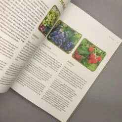 Mein Genialer Bio-Balkon (Birgit Schattling) -Günstiges Pflanzen Land Geschäft 38452 Mein 20Genialer 20Bio Balkon Birgit 20Schattling 6 a3f9eab7 46a5 44f6 bc93 5bb3a22f5311