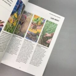 In Den Garten Fertig Los (Jean-Michel Groult) -Günstiges Pflanzen Land Geschäft 38587 In 20den 20Garten 20fertig 20los Jean Michel 20Groult 5 1182d5ff 0c38 4ef0 92e8 54c7743f5fb9