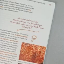 Pilze FAQ (Björn Wergen) -Günstiges Pflanzen Land Geschäft 38593 Pilze 20FAQ Bjoern 20Wergen 4 12d7bd03 dfe5 4b88 8f87 4b372afbb9c4