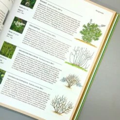 Pflanzenschnitt (DAS GROSSE GU PRAXISHANDBUCH) -Günstiges Pflanzen Land Geschäft 38619 Pflanzenschnitt DAS 20GROSSE 20GU 20PRAXISHANDBUCH 5