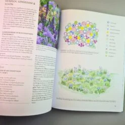 Überlebenskünstler (Simone Kern) -Günstiges Pflanzen Land Geschäft 38665 UEberlebenskuenstler Simone 20Kern 4 964d27af 3dd4 4934 8637 057e75bf59d7