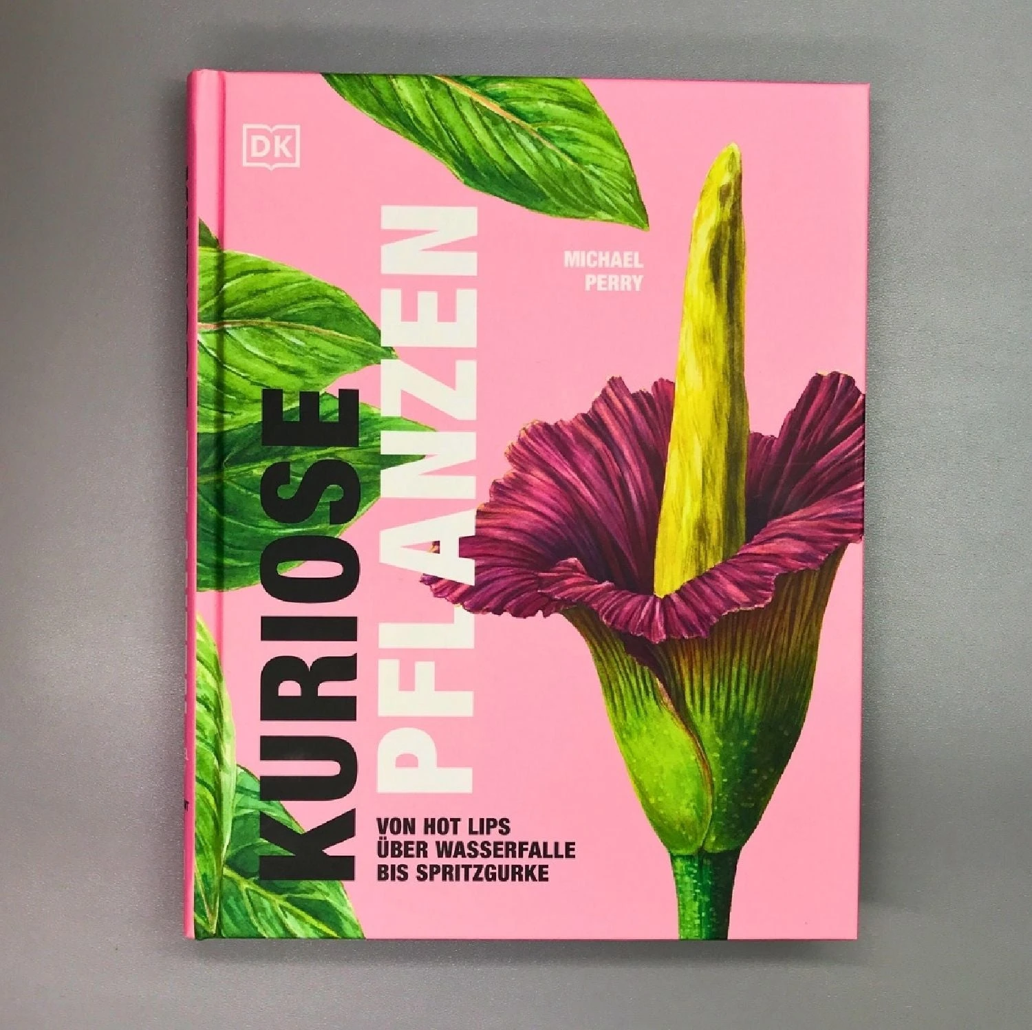 Kuriose Pflanzen (Von Hot Lips über Wasserfalle Bis Spritz) 3 Kuriose Pflanzen (Von Hot Lips über Wasserfalle Bis Spritz)