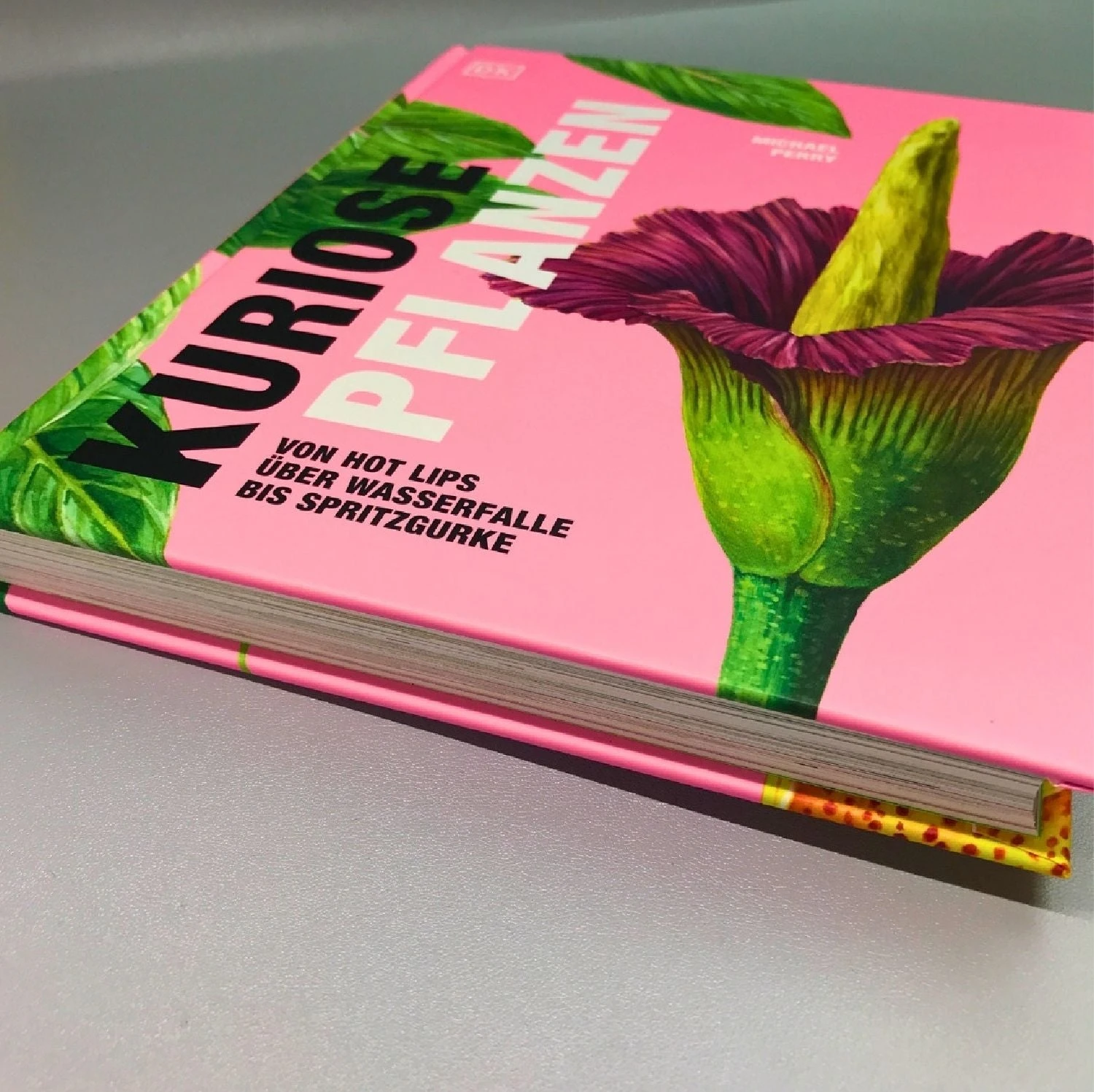 Kuriose Pflanzen (Von Hot Lips über Wasserfalle Bis Spritz) 4 Kuriose Pflanzen (Von Hot Lips über Wasserfalle Bis Spritz) – Bild 2