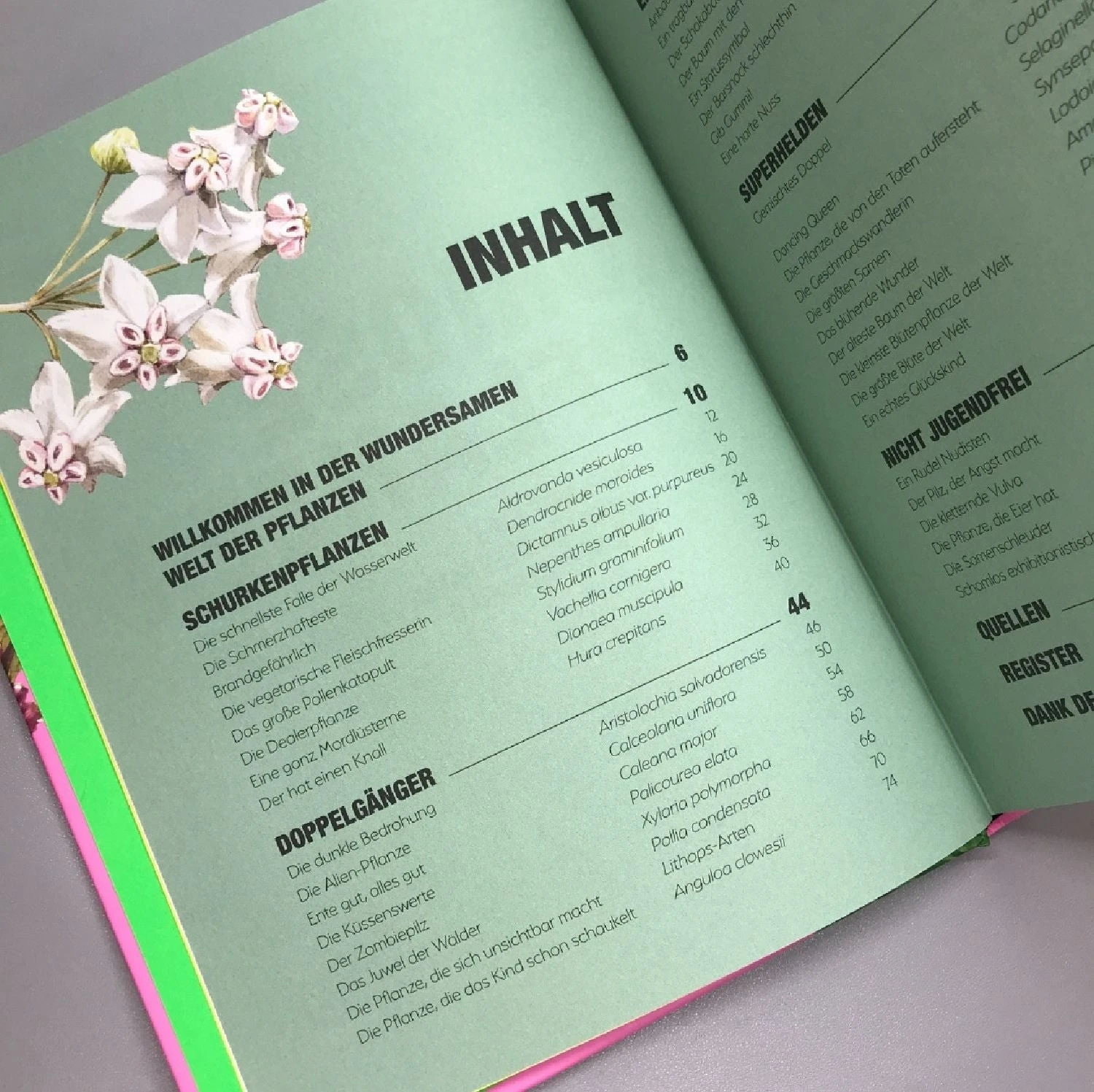 Kuriose Pflanzen (Von Hot Lips über Wasserfalle Bis Spritz) 6 Kuriose Pflanzen (Von Hot Lips über Wasserfalle Bis Spritz) – Bild 4