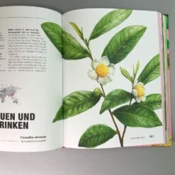 Kuriose Pflanzen (Von Hot Lips über Wasserfalle Bis Spritz) 13 Kuriose Pflanzen (Von Hot Lips über Wasserfalle Bis Spritz) -Günstiges Pflanzen Land Geschäft 39041 Kuriose 20Pflanzen Von 20hot 20lips 20ueber 20Wasserfalle 20bis 20Spritz 6