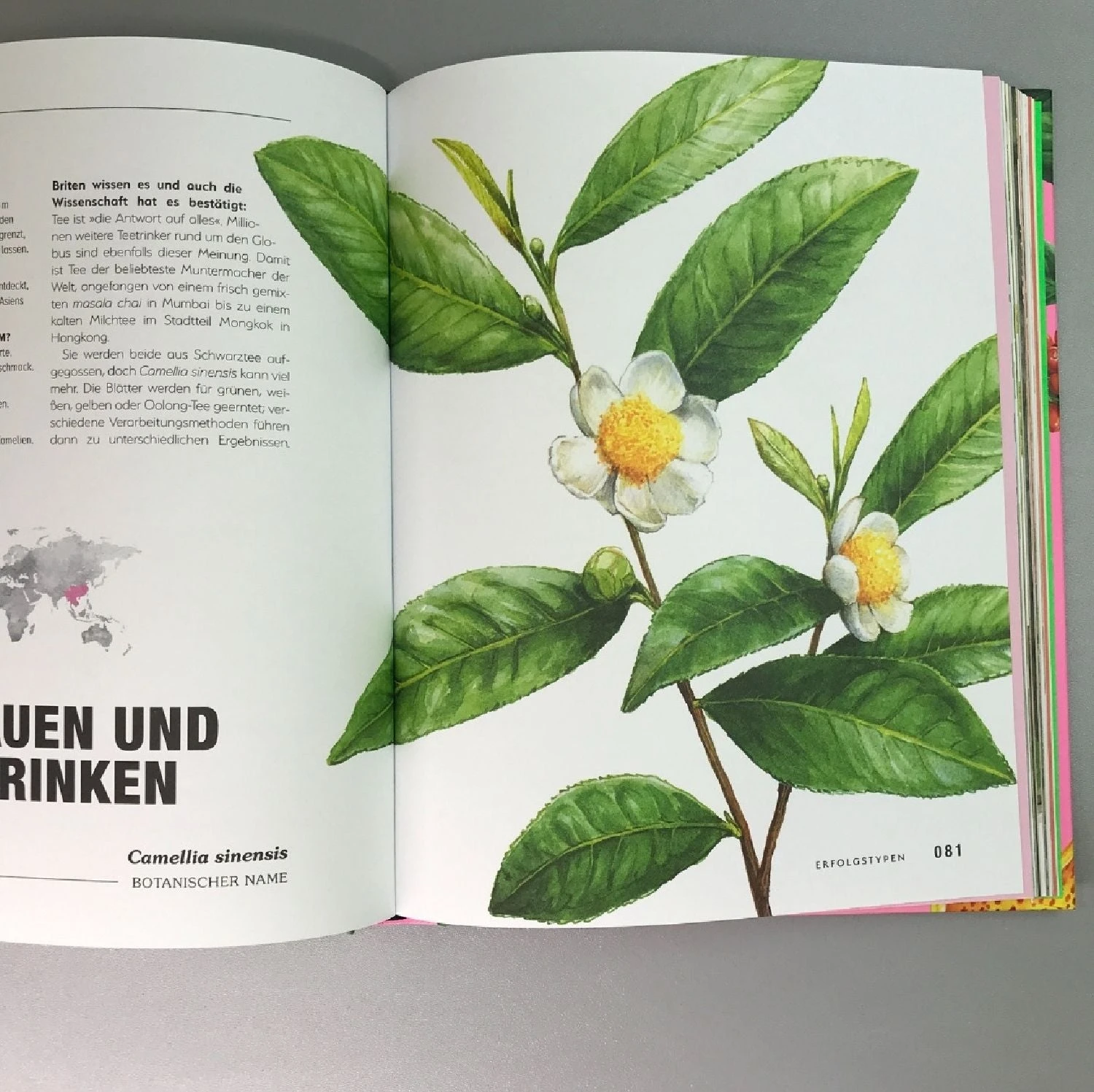 Kuriose Pflanzen (Von Hot Lips über Wasserfalle Bis Spritz) 8 Kuriose Pflanzen (Von Hot Lips über Wasserfalle Bis Spritz) – Bild 6