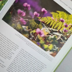 Blütenreich (Katrin Lugerbauer) 14 Blütenreich (Katrin Lugerbauer) -Günstiges Pflanzen Land Geschäft Bluetenreich 4