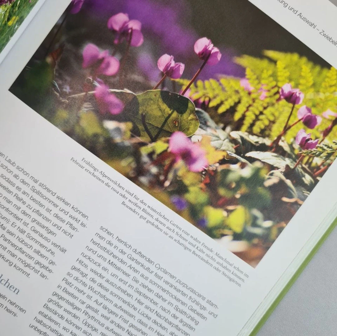 Blütenreich (Katrin Lugerbauer) 6 Blütenreich (Katrin Lugerbauer) – Bild 4