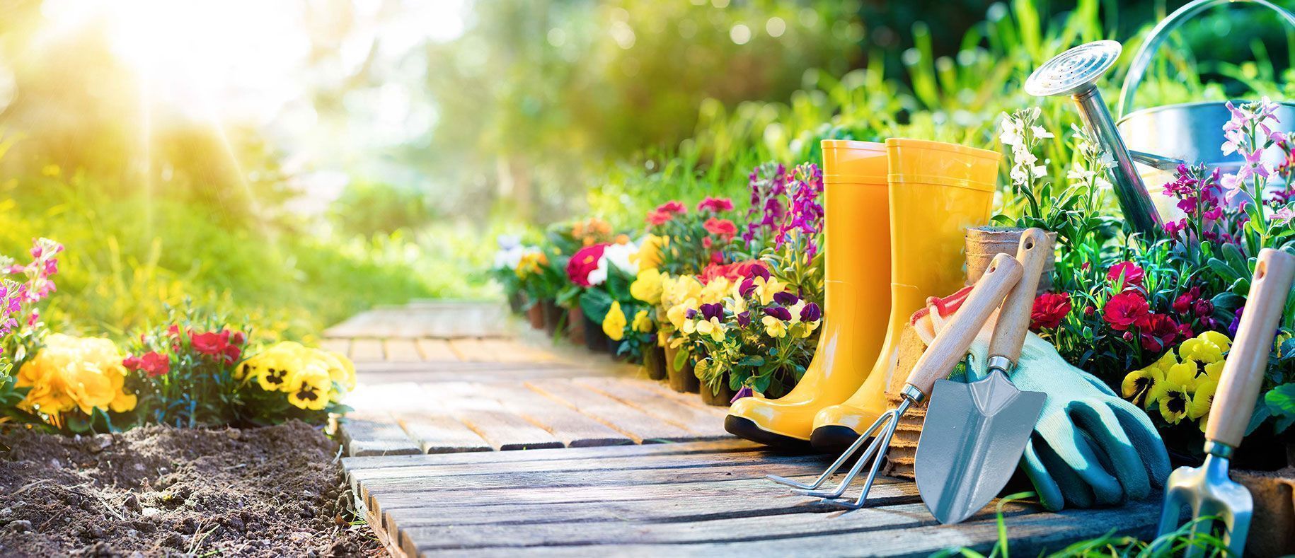 Günstiges Pflanzen Land Geschäft -Günstiges Pflanzen Land Geschäft biotem bahce peyzaj hizmeti banner img